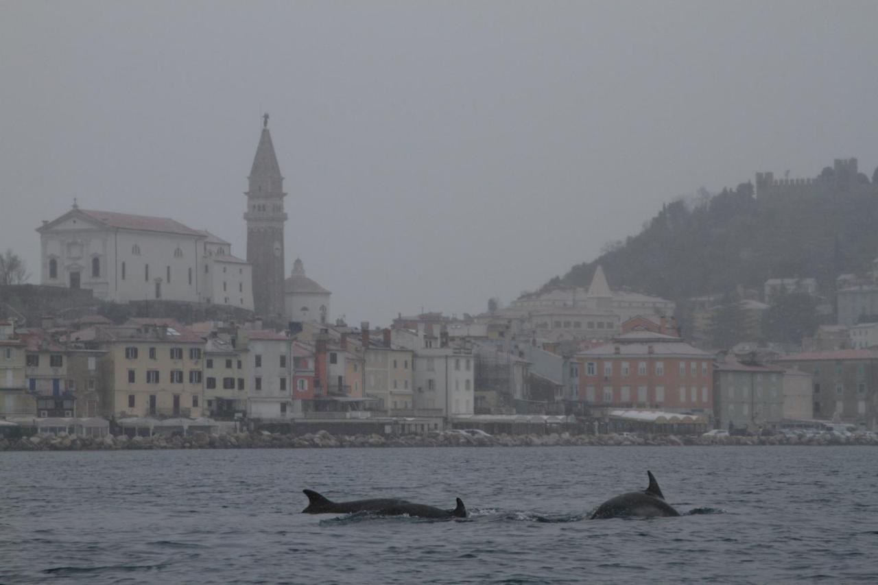 Sal & Mar Apartments Piran Zewnętrze zdjęcie