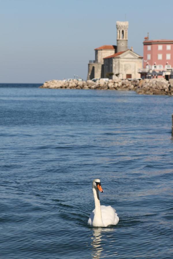 Sal & Mar Apartments Piran Zewnętrze zdjęcie